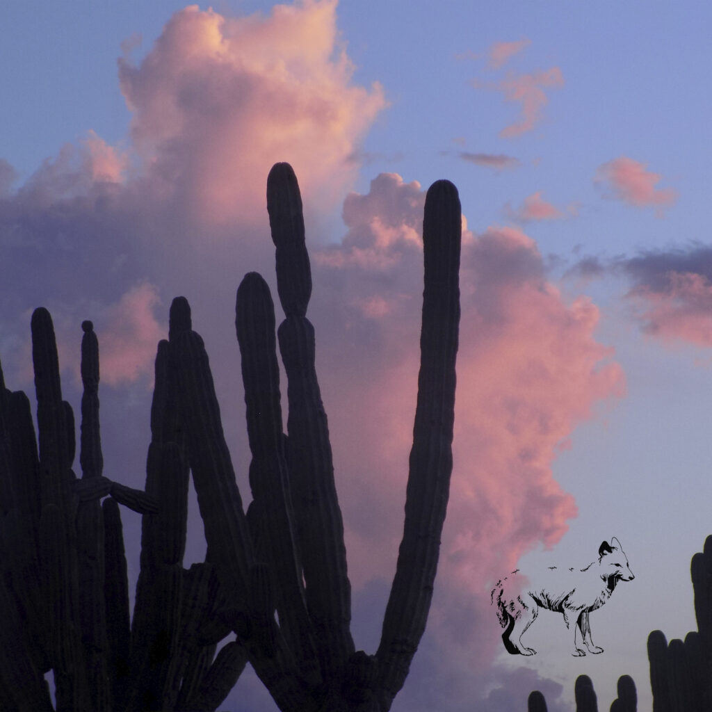 Portada Slivovica GaboPonce